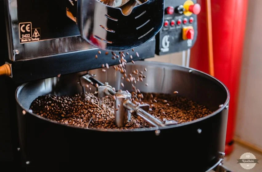  Arabika vs robusta