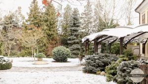 Bakery Castel Mierovo: Miesto pre sladké snívanie