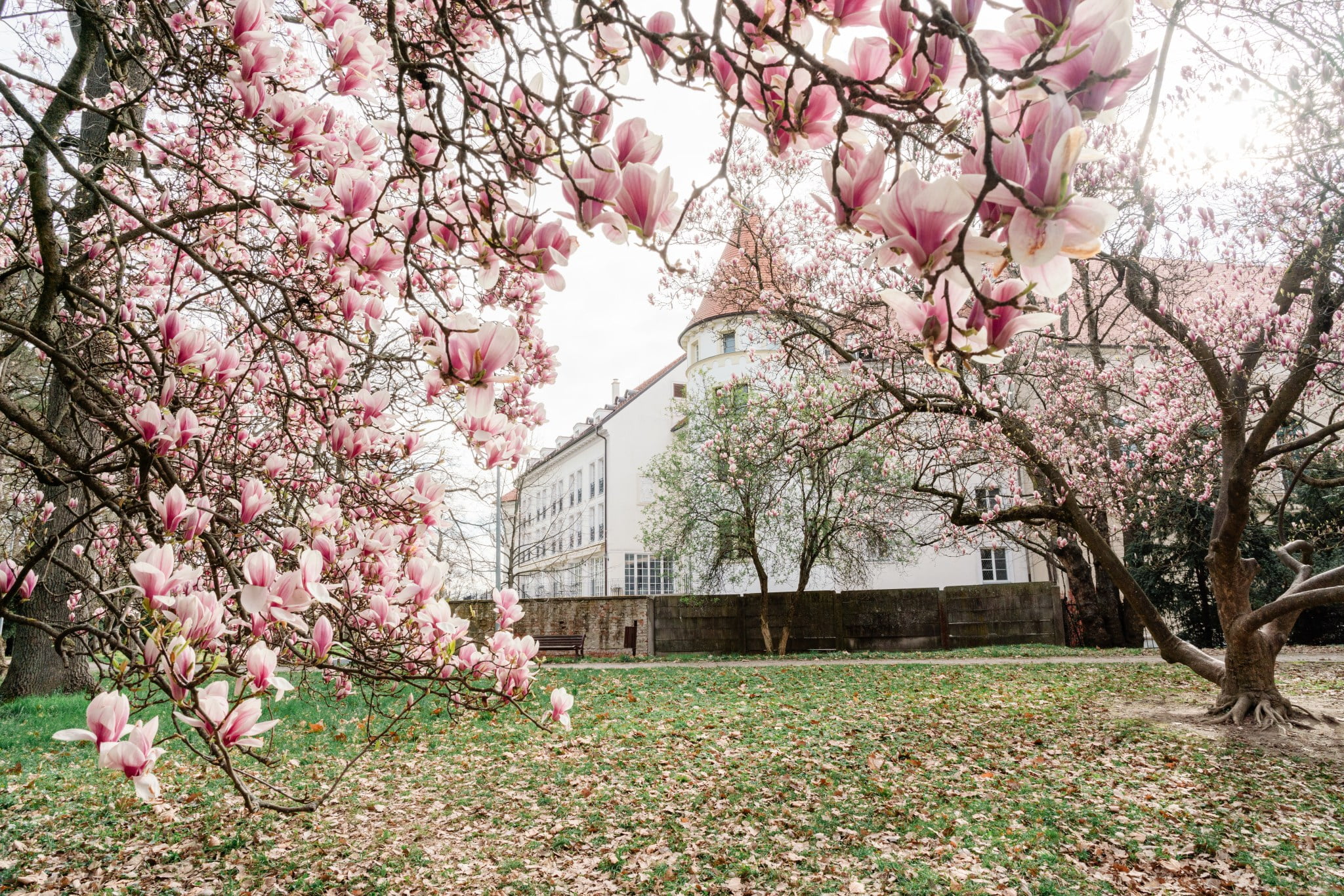 Šimák Zámok Pezinok