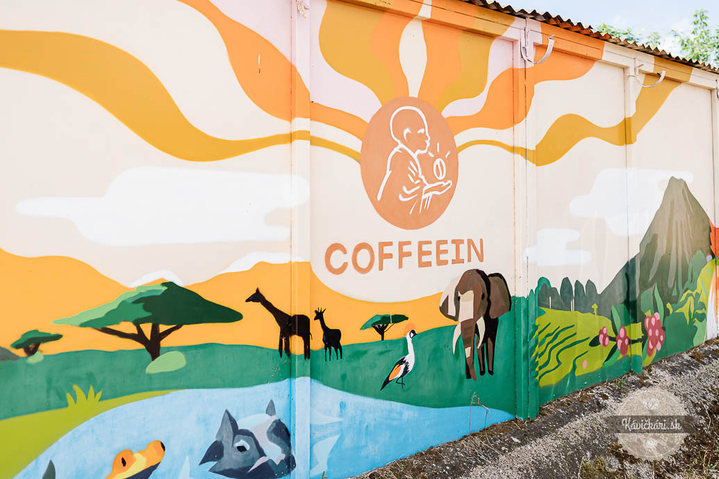 Peter Szabó, Coffeein