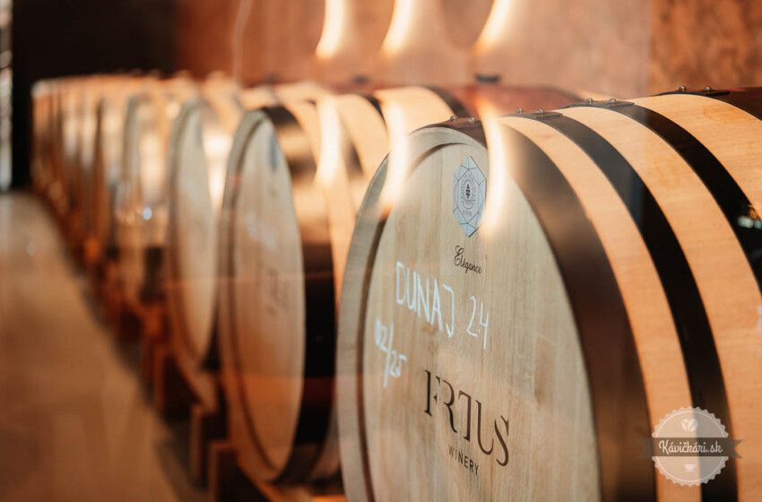Frtus Winery sudy