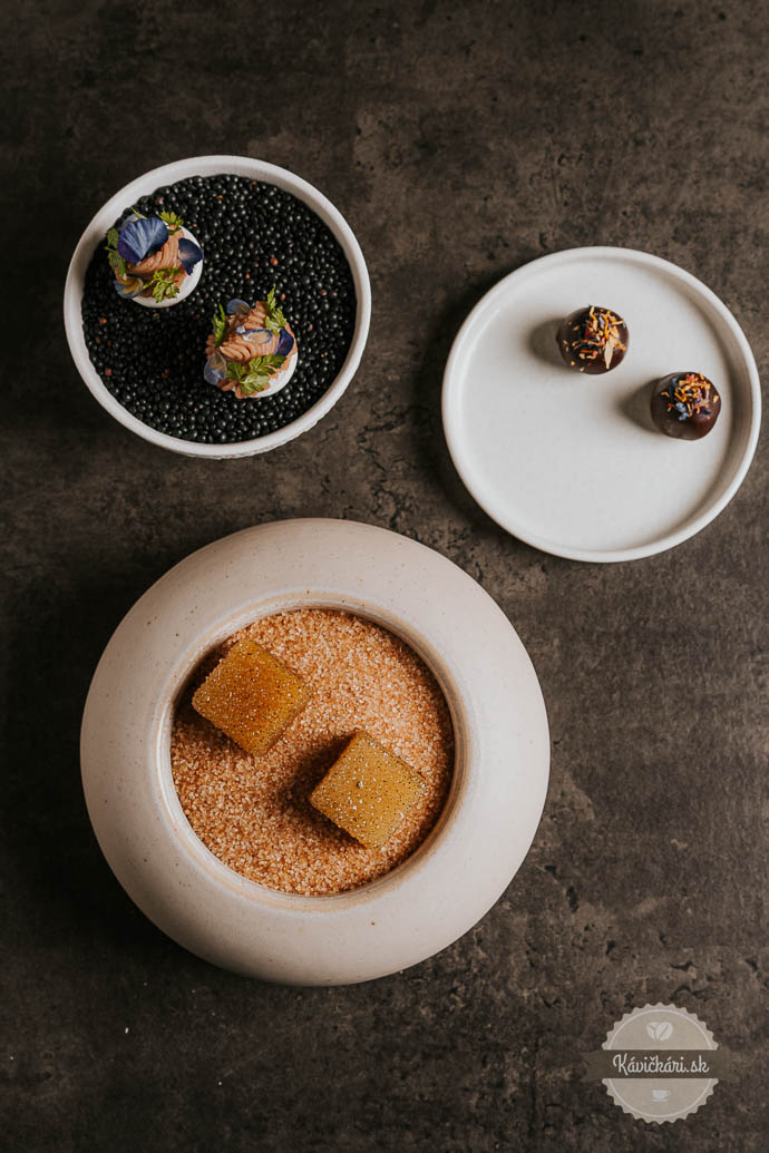 degustačné menu, ukážka jedla, fine-dining
