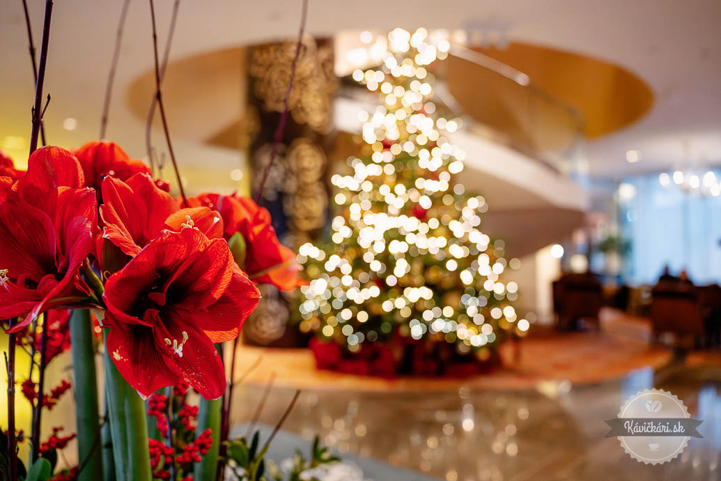 River Park Grand Hotel River Park Vianoce