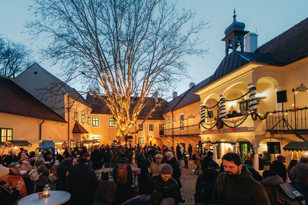 Malokarpatský salón vín