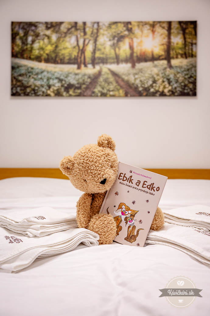 Wellness Hotel Repiská apartmán