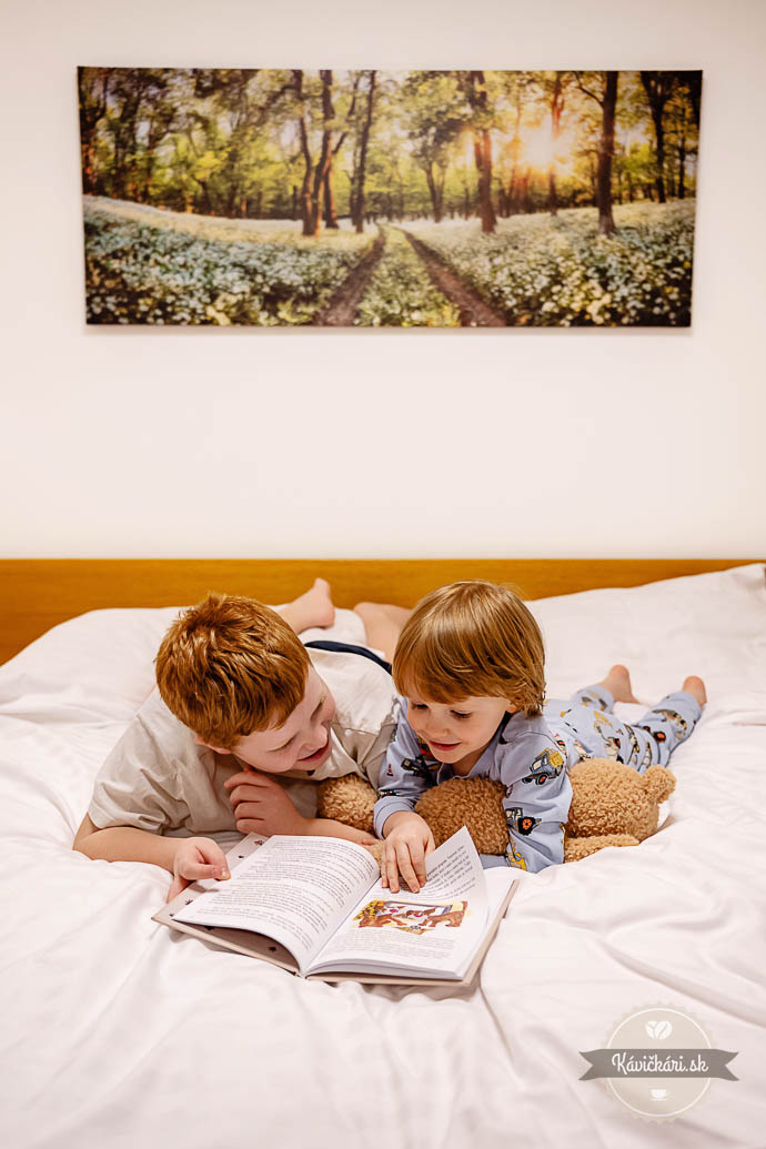 Wellness Hotel Repiská apartmán