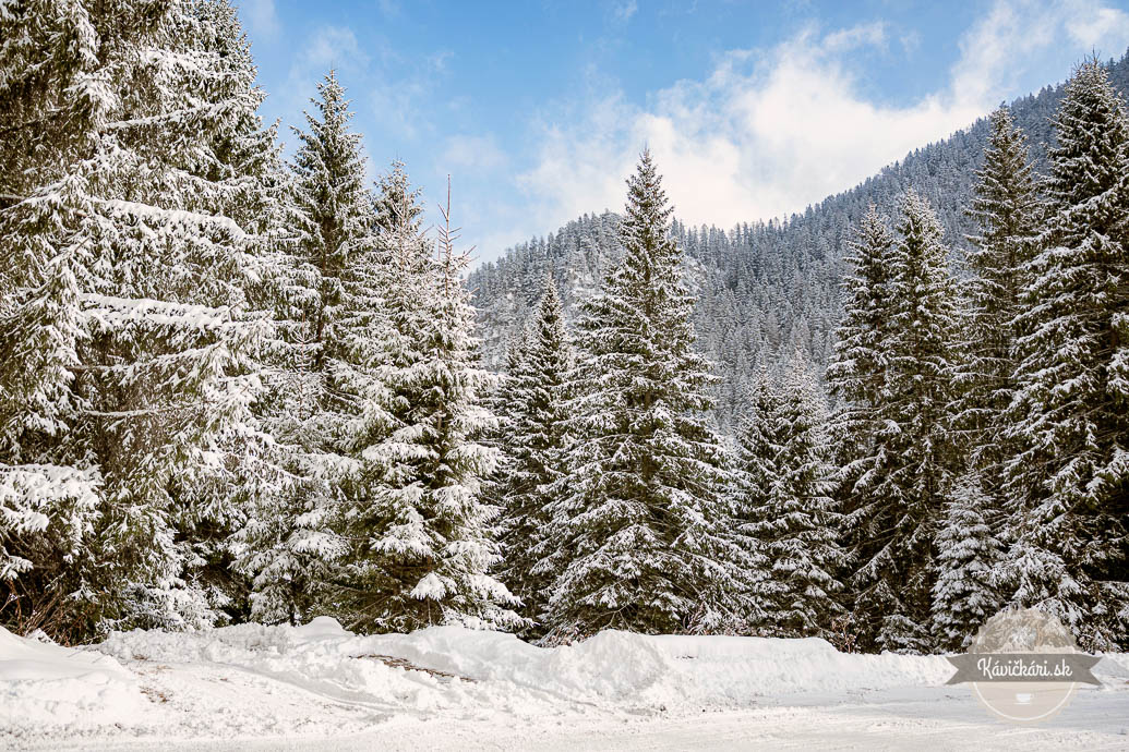 Wellness Hotel Repiská okolie