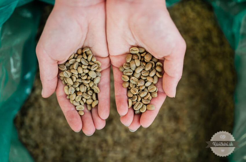  Akrylamidy v káve: strašiak alebo zbytočný mýtus?